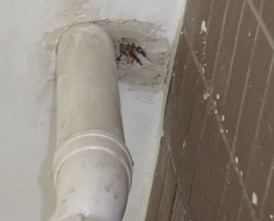 姚安漏水检测哪家好